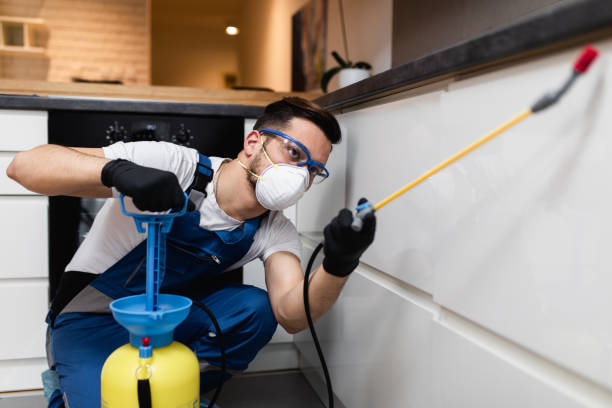 Best Cockroach Control Services  in Stonewall, LA
