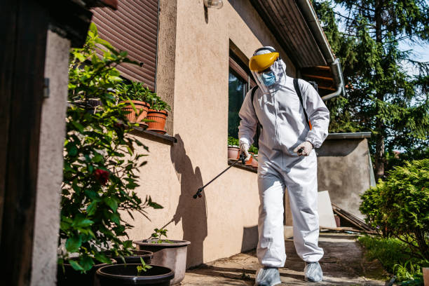 Best Pest Inspection Near Me  in Stonewall, LA