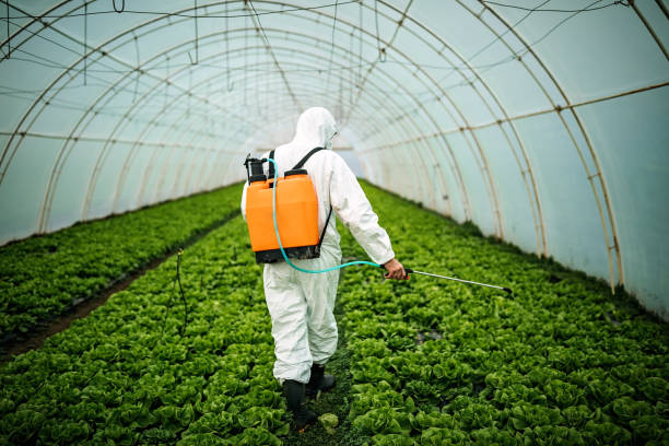 Best Pest Control Cost  in Stonewall, LA