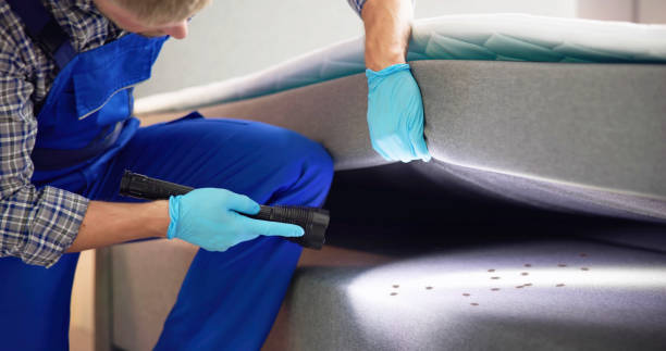 Best Affordable Pest Control Services  in Stonewall, LA