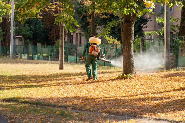 Pest Control Cost in Stonewall, LA