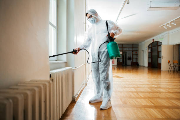 Wasp Removal Services in Stonewall, LA