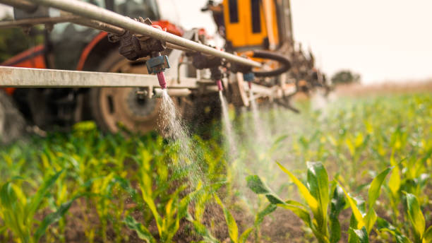 Best Commercial Pest Control Services  in Stonewall, LA