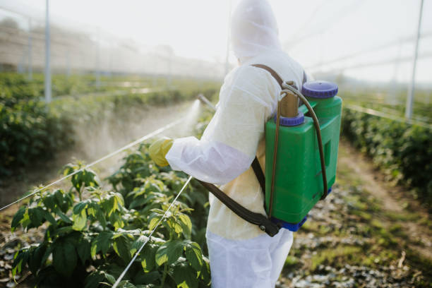 Best Mosquito Control Services  in Stonewall, LA